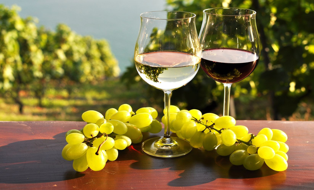 Oenology &amp; Spanish Wines (1st quarter)