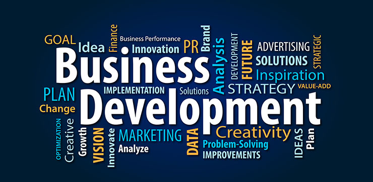 GLOBAL BUSINESS DEVELOPMENT &amp; BRANDS