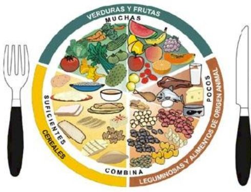 Alimentación &amp; Nutrición 