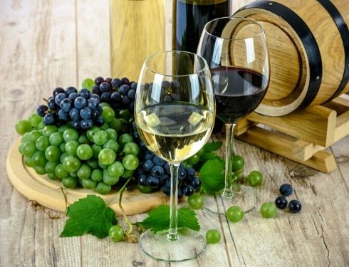 Oenology &amp; Spanish Wines (1st quarter)